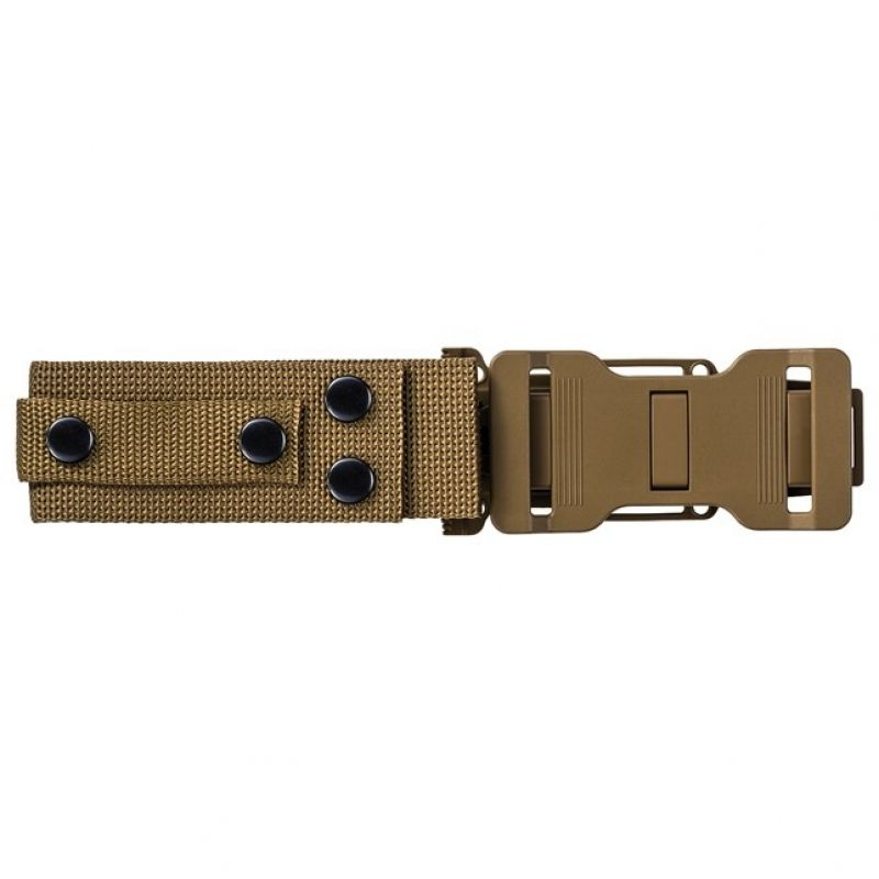 80658581
